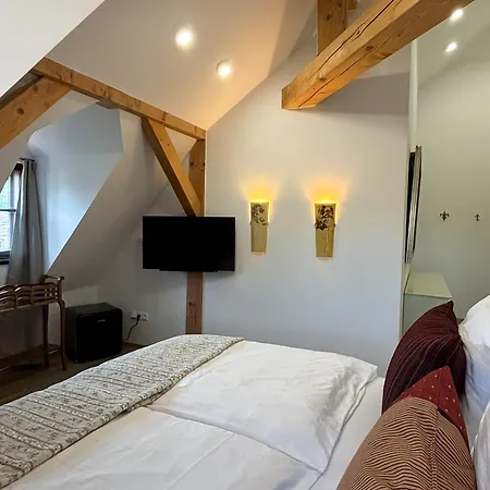 Hotel Boutique Barvirna *